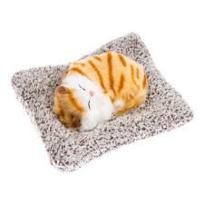 A toy on a car panel, a cat on a pillow, a white-red color