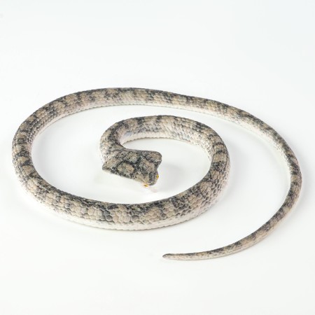 Rubber snake "Cobra"-1