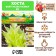 Хоста "White Feather ®", р-р I, размер SM,1 шт,
