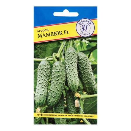 Cucumber seeds "Mamluk" F1, 5 pcs