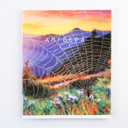 An objective note 48 sheets, A5, nature, with reference materials “September 1: Algebra”, covered Cardboard 230 gr., Inner block in a cage 80 gr., Whiteness up to 80%, block No. 2.-1