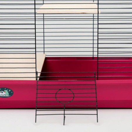 Cage for chinchillas "Pigzon" No. 8 with 2 wooden floors, collapsible, 58x40x48 cm, raspberry-4