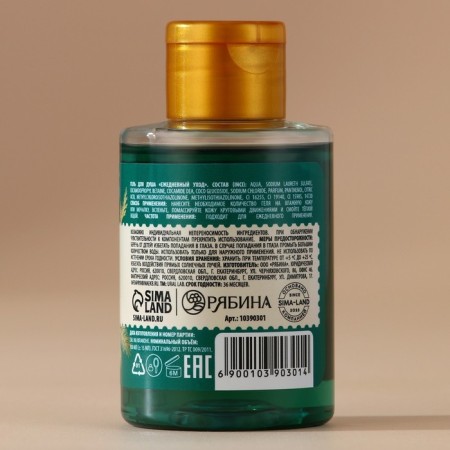 Shower gel, 100 ml, aroma of winter spices, Ural Lab-2