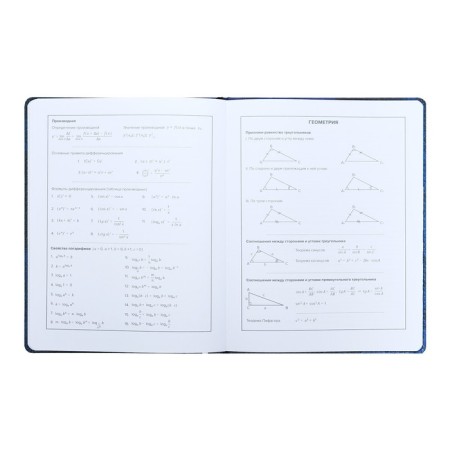 School diary for grades 1-11 "sneakers", firm covering with artificial leather foam, metal cutters, 48 ​​sheets, an offset block 80g/m2, universal cheat sheet-9