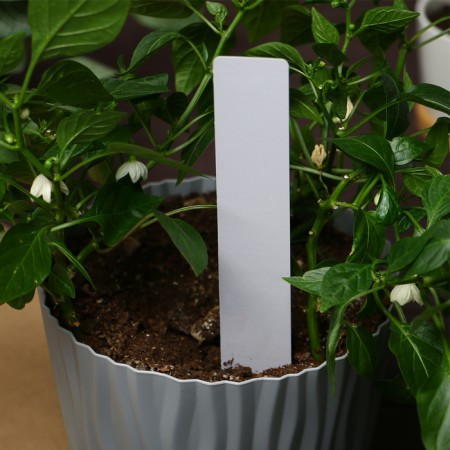 Garden tags for marking, 20 cm, set 10 pcs., Plastic, white, Greengo-5