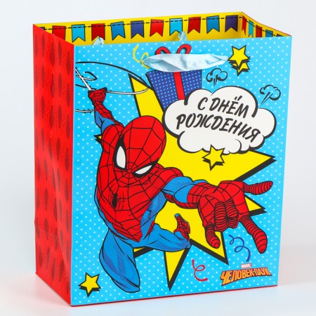 Gift package, 23x27x11.5 cm, packaging, 4 types of mix-2