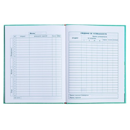 Diary for grades 1-4, 48 sheets "cat pranks", hard cover, glossy lamination, foil embossing-8