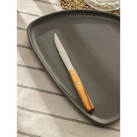Stainless steel knife "eco-stic", length 20 cm, wooden handle-3