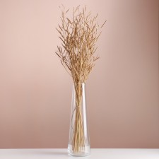 Set of dried flowers 
