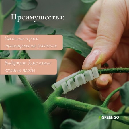 Closure Discover "Snail", 3.5 cm, set of 50 pcs., Greengo-1