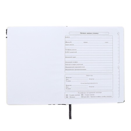 Diary 1-11 Grade "Hyipa duck", artificial leather, selective varnish, 48 sheets-3