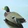 Waterfowl - the decoy figure "Slee" 35x15x16cm