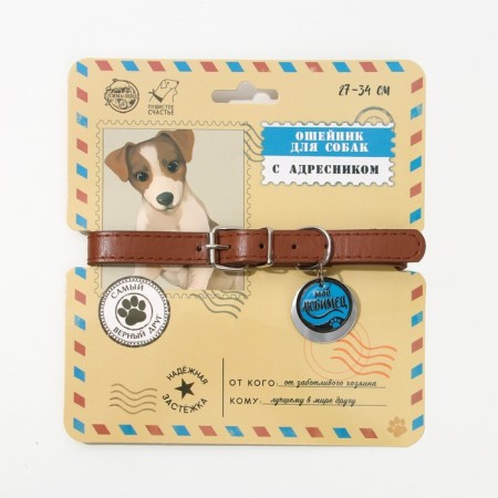 Dog collar "My favorite" with an addressee, Osh 27-34 cm