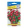 Flowers of Barvinok "Victory" Cranberry, Oh, 10 pcs
