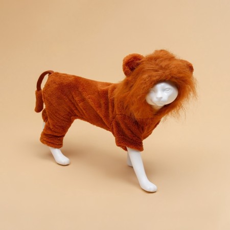 The overalls for animals "Leo", size XL (DS 40, OG 50, Osh 38 cm), brown-2