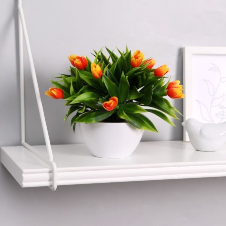 Bonsai in the pot "Tulips" 14x16 cm, mix