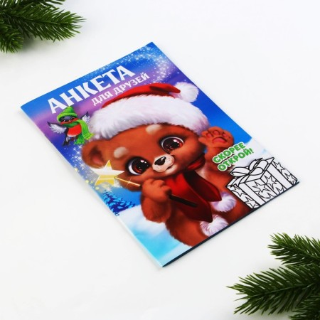 New Year. A5 questionnaire, 16 sheets, soft cover, "for friends"-10