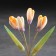 Flowers "snowdrops", 5 flowers, selenite