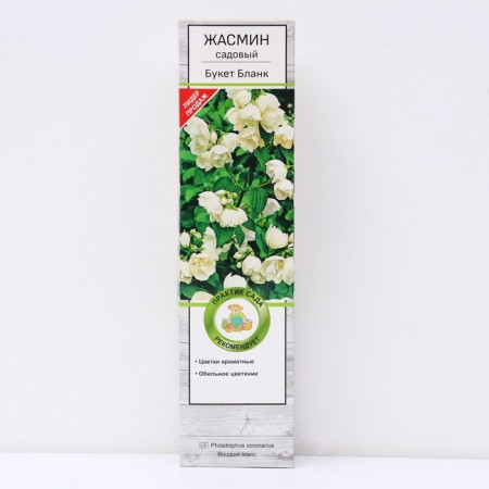 Jasmine Garden (Monaure) "Bouquet Blank", 1 pc, tube, spring 2024