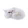 Children's nightlight-NLED-467-1W-W Lamp Cat Cat White