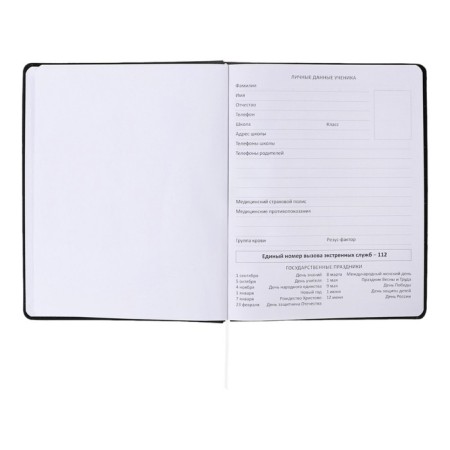 Universal diary for grade 1-11 Tokyo Girls, solid cover, artificial leather, foam rubber, liesse, 80 g/m2-3