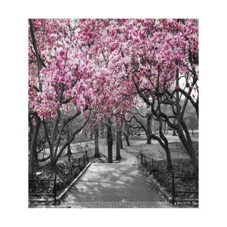 A set of napkins for setting the table "Black and white trees", rectangular, size 32x46 cm, 4 pcs-2