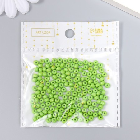 Glass beads 6/0 "Green Lime" 15 g-2