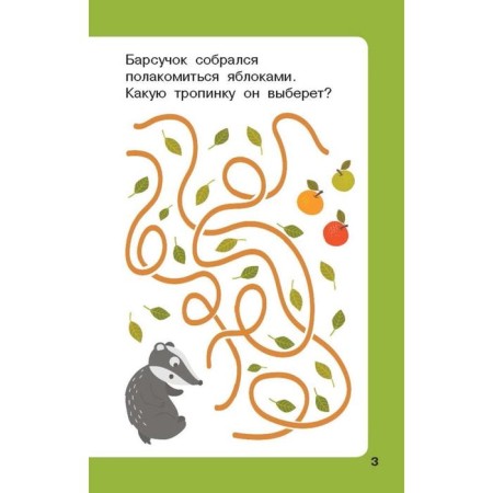 100 labyrinths and confused paths. Dmitrieva V.G.-2