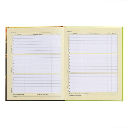 Diary for grades 1-4, hard cover "duckling", matte lamination, selective varnish, block 60 g/m2-9