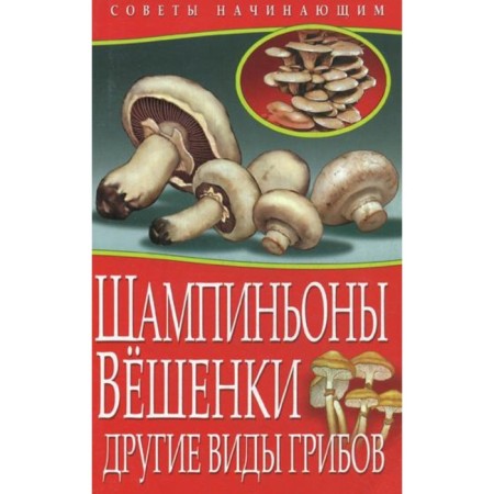 Champignon. Oyster mushrooms. Other types of mushrooms. Zhmakin Maxim Sergeevich