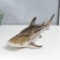 Souvenir Polystone Light "Shark" 14x20.5x45 cm