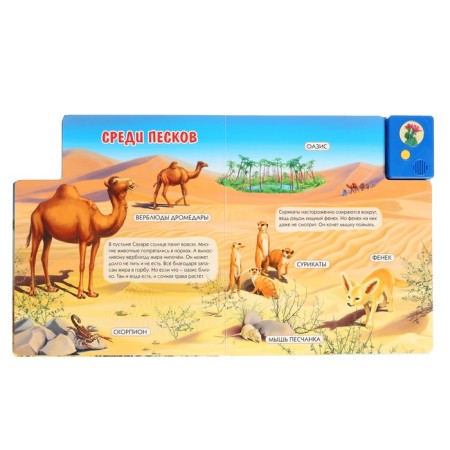 Musical book "Whose house is savannah and desert?", 3+-4