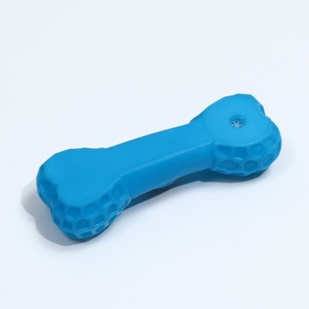 BOOK BOOK "Bone with a portrait" for dogs, 15 cm, blue-3