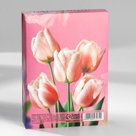 Set of notebooks A6, 32 sheets on a paper clip 8 pcs. “From March 8. Tulips "-30