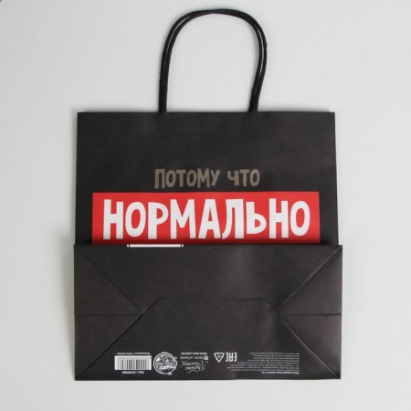 Gift package “Normally must answer”, 22 x 22 x 11 cm, new year-5