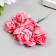 Flowers for decorating "tea roses" 1 bouquet = 6 colors 9.5 cm bright pink