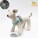 A set with a soft harness, size XXS, leash 150 x 1.5 cm, OG 28-30 cm, Osh 24-26 cm, turquoise