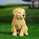 Garden figure "Labrador puppy" 17x12x20cm