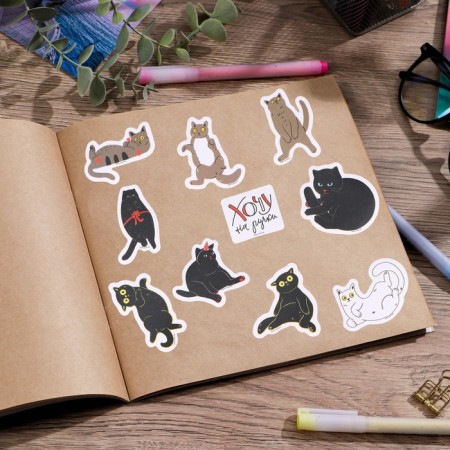 A set of paper stickers "Cat", 10 pcs-3