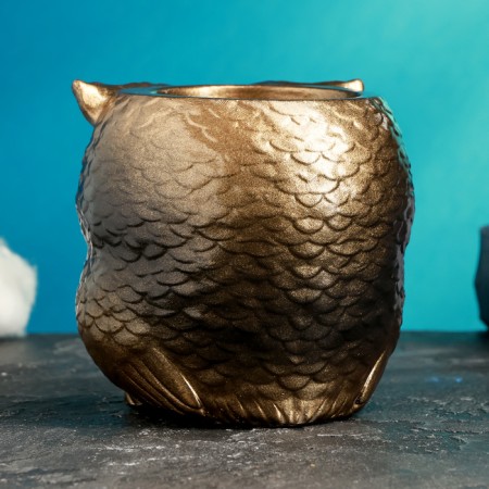 Figure Kashpo "Owl with the Council" Bronze, 9cm-2