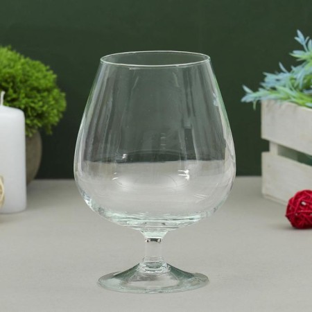Vase "Brandy" glass on the leg D-8.5cm 17x11.5 cm, 1l