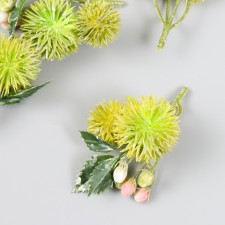 Flowers for decorating 