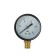 Manometer Taen, radial, 10 atm, d = 50 mm, external thread 1/4 "