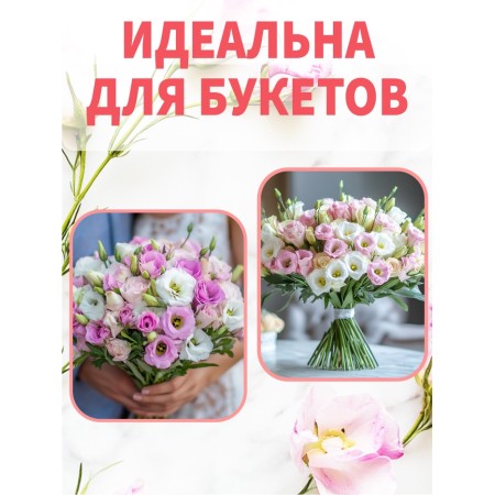 Набор Семена цветов эустомы махровой лизиантус-11