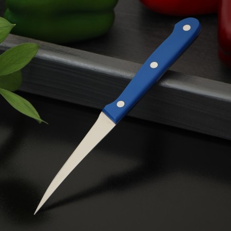 Kitchen knife "Figure", for carving, blade 9 cm-1