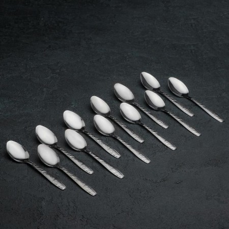 A set of spoons of tea stainless steel "Prorit", h = 15 cm, 12 pcs