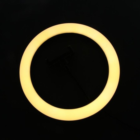 LED ring lamp on a tripod Luazon SNP098, 10 "(26 cm), 20 watts, tripod 27-85 cm-18