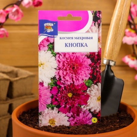 Flowers Cosmea Tensor "button", 0.05 g-2