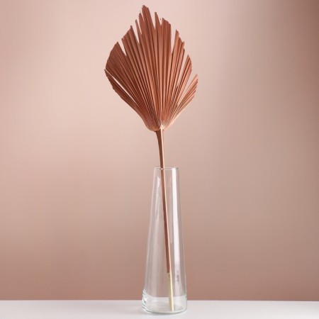 Washingtonia Palm sheet "Peak" 50-60 (+/- 6 cm), 1 pc, col. Copper metallic