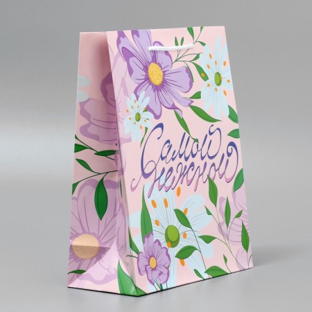 Gift Package Laminated, Packaging, “The Tentful”, MS 18 x 23 x 8 cm-3